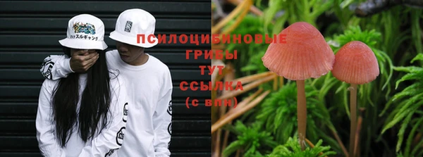круглые Алзамай