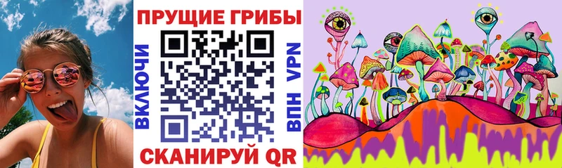 Купить  Кириллов  Псилоцибиновые грибы ЛСД 